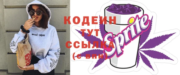 хмурый Елабуга