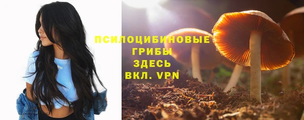 кокаин премиум Елизово