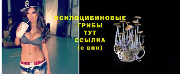 кокс Ельня