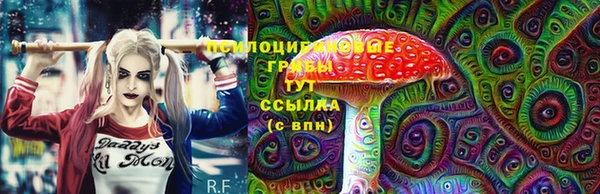 кокс Ельня