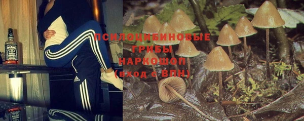 кокс Ельня