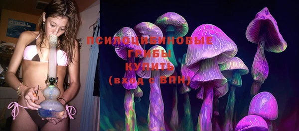кокс Ельня