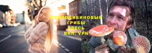 кокс Ельня