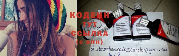 хмурый Елабуга