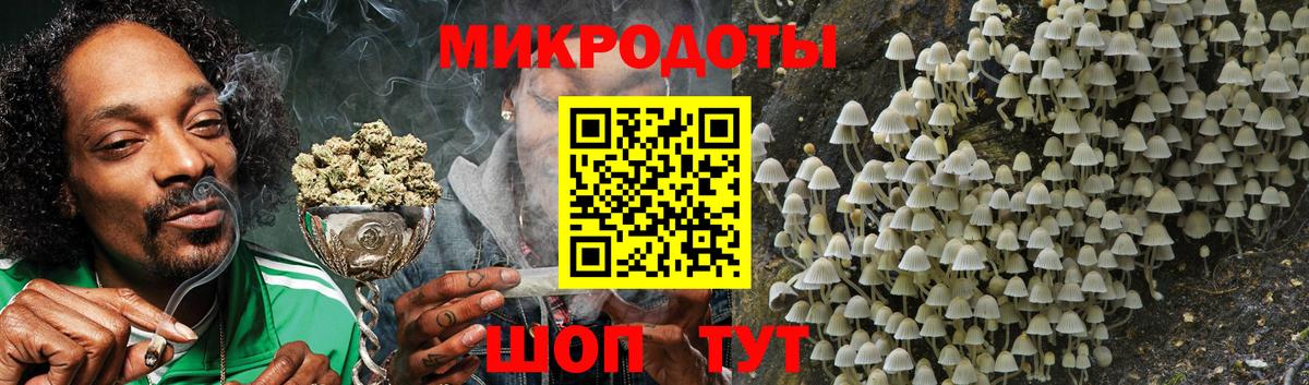 Галлюциногенные грибы Magic Shrooms  Галлюциногенные грибы мицелий  Острогожск 