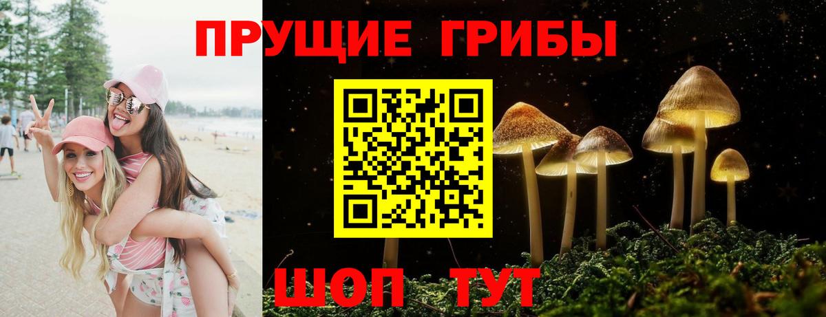 Галлюциногенные грибы GOLDEN TEACHER  Галлюциногенные грибы мицелий  Острогожск  Вход с VPN 