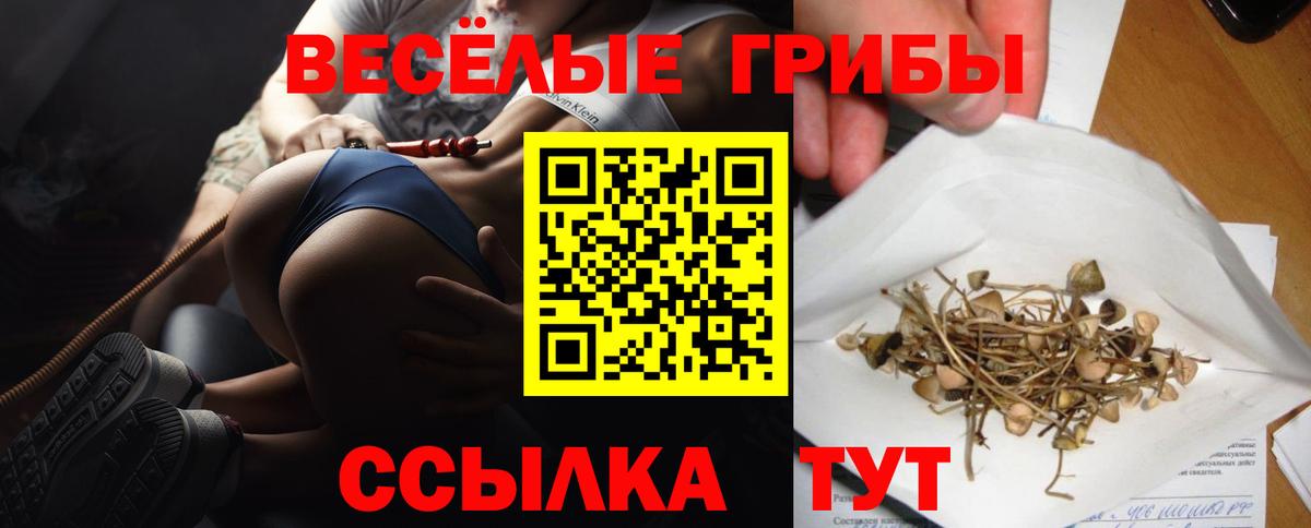 Псилоцибиновые грибы Magic Shrooms Острогожск